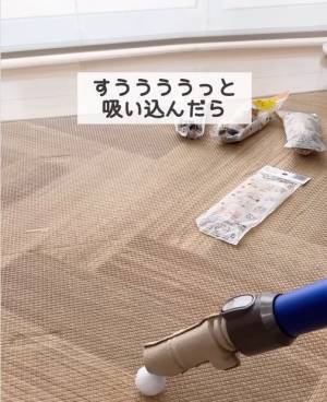 これでさわらずに駆除できる！　最低限の接触で害虫を駆除できる画期的アイテム