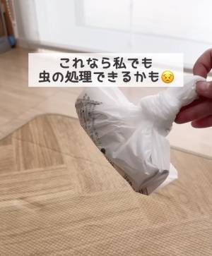 これでさわらずに駆除できる！　最低限の接触で害虫を駆除できる画期的アイテム