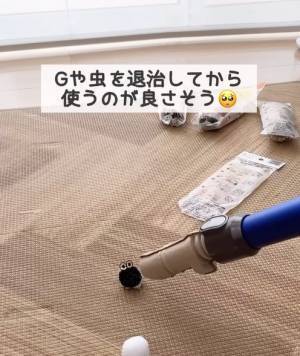 これでさわらずに駆除できる！　最低限の接触で害虫を駆除できる画期的アイテム