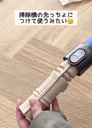 これでさわらずに駆除できる！　最低限の接触で害虫を駆除できる画期的アイテム