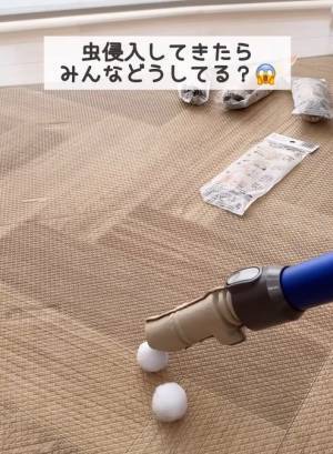 これでさわらずに駆除できる！　最低限の接触で害虫を駆除できる画期的アイテム