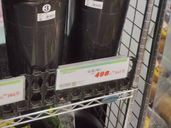 日本人女性とデートをしたフランス人　相手の顔が引きつったワケは？