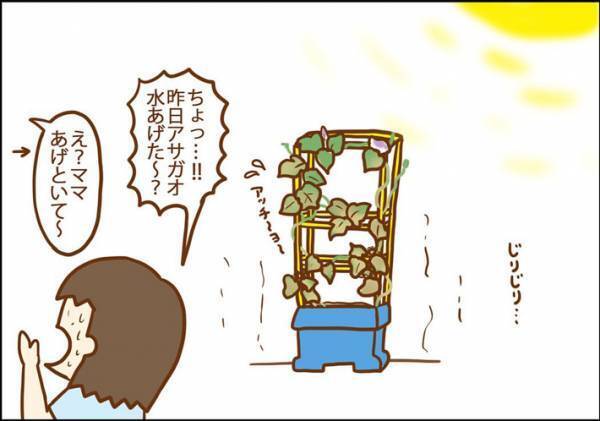 夏休み明け、学校に持っていけない…　ほぼ枯れたアサガオを復活させた『荒業』に反響