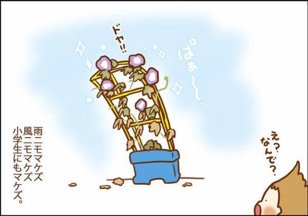 夏休み明け、学校に持っていけない…　ほぼ枯れたアサガオを復活させた『荒業』に反響