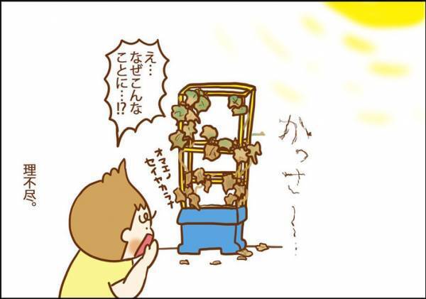 夏休み明け、学校に持っていけない…　ほぼ枯れたアサガオを復活させた『荒業』に反響