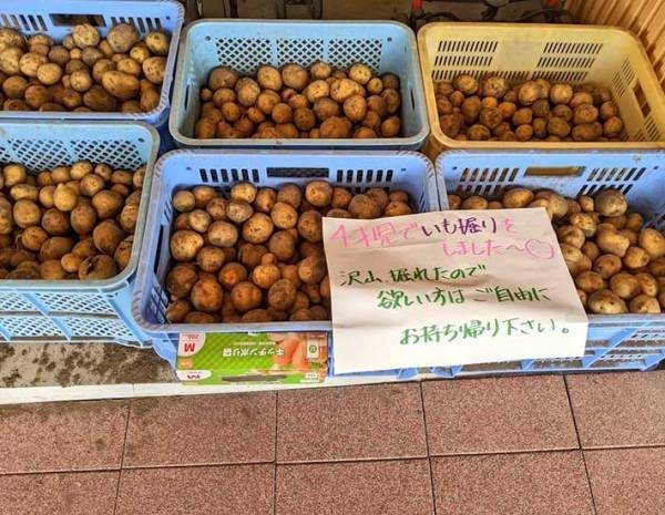 「十勝の幼稚園パネェっす」　イモ掘り後の１枚に、吹き出す人続出