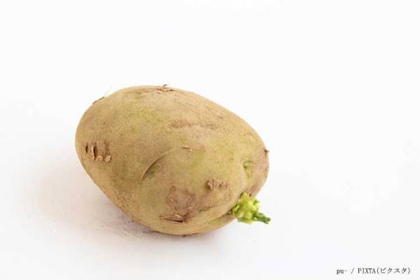 『緑のジャガイモ』って食べていいの？　意外と知られていない事実に「初めて知った…」