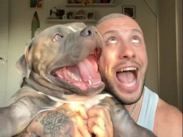 犬は飼い主に似る？　それを証明するような動画に大反響！「双子のようだ」