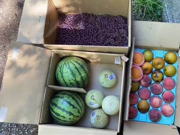 「廃棄なんてもったいない」　近所のスーパーから届いた『捨てられる果物』に、動物たちがこの反応！