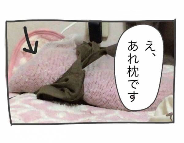 20年ほど同じ『ビーズ枕』を使う女性 「汚ねぇ」と気付き、ニトリに 