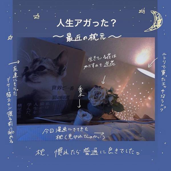 ２０年ほど同じ『ビーズ枕』を使う女性　「汚ねぇ」と気付き、ニトリに行くと？