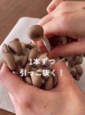 シメジの石づき　どう取り除く？　目からウロコの発想に「クセになる」「包丁で切るよりいい」
