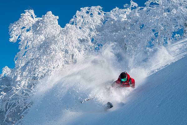 スキー場を滑る人に思わず五度見　写真に「強すぎだろ！」「目を疑った」