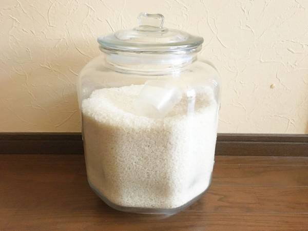 保存中のお米に異変！？　エステーが教えるお米の正しい保存方法