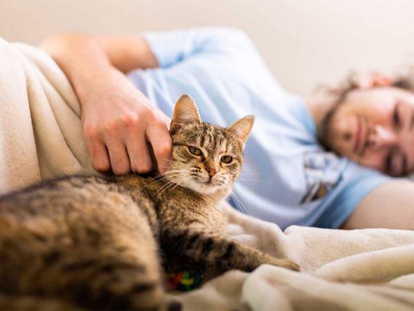 男性とイチャイチャする猫　そこへ邪魔者が現れて？　「大笑いした」「モンスターだ」