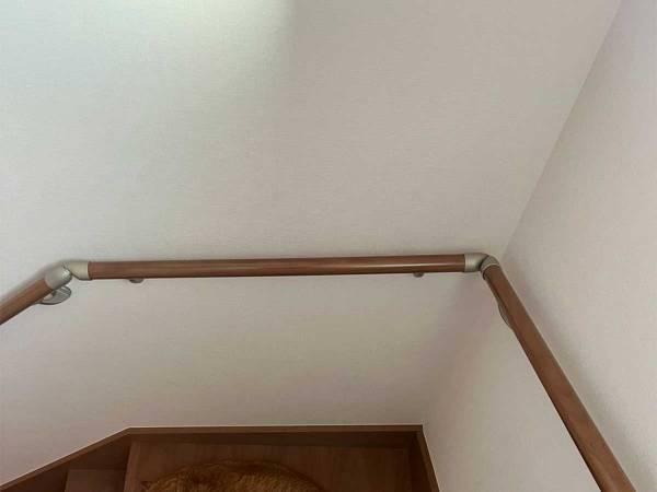 階段で寝ている猫　飼い主がヒヤッとした理由に「完全に擬態」「かなりの手練れと見た…」