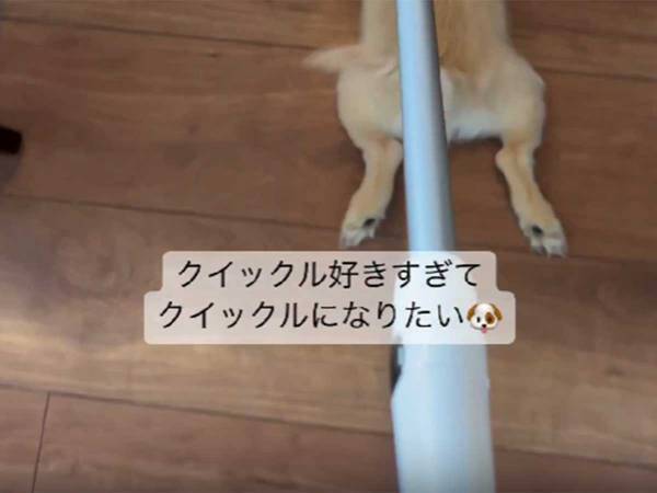 飼い主「フローリングワイパーが重い」　トラブルの原因に「笑った」「二度拭きは可能」