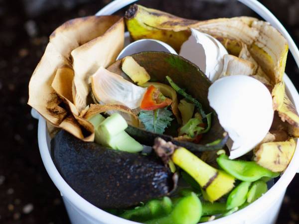 生ゴミの臭いは抑えるには？　あるものを使った裏技に「やってみます」「助かる」