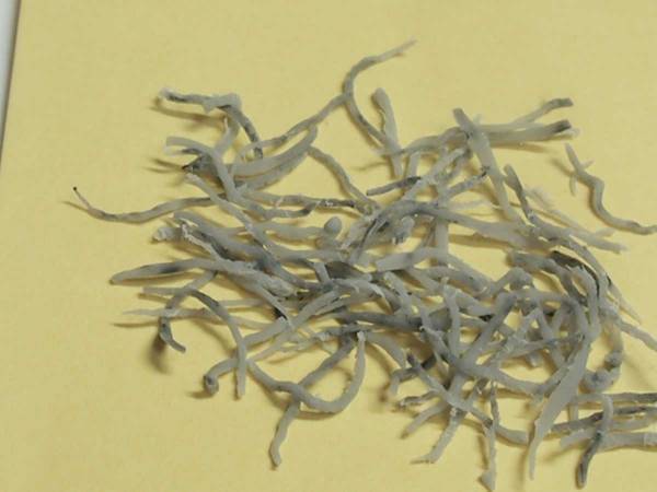 おいしそうなちりめんじゃこ、実はコレ…　正体に「マジで天才」「写真を拡大した」