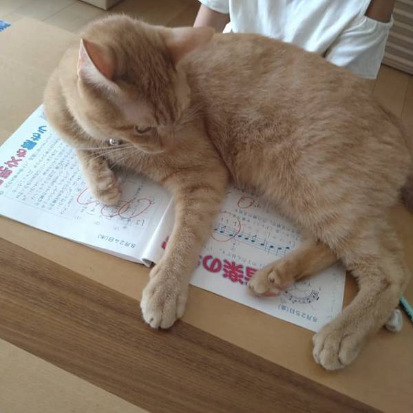 母「待て待て！」　小３娘の『観察日誌の珍解答』にツッコミ不可避