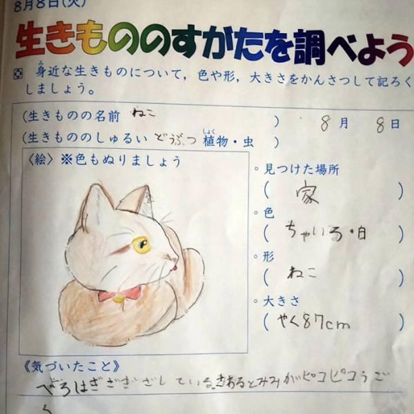 母「待て待て！」　小３娘の『観察日誌の珍解答』にツッコミ不可避