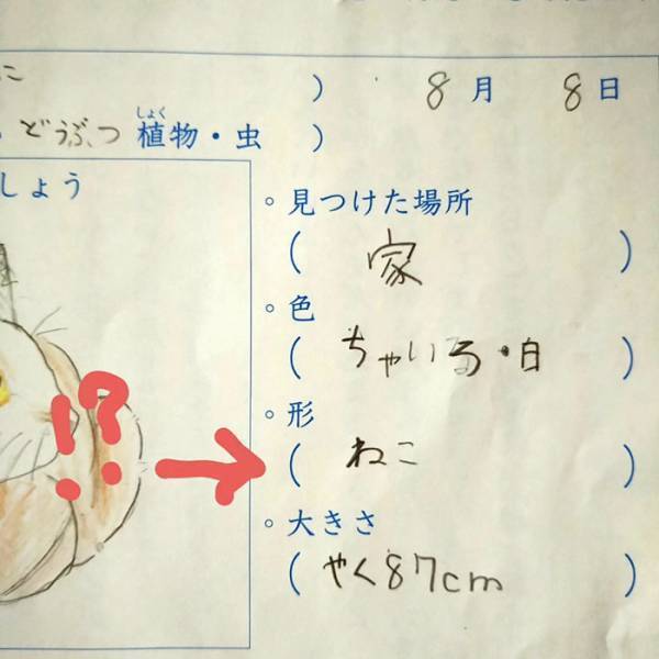 母「待て待て！」　小３娘の『観察日誌の珍解答』にツッコミ不可避