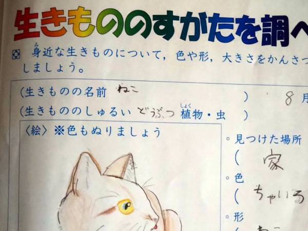 母「待て待て！」　小３娘の『観察日誌の珍解答』にツッコミ不可避
