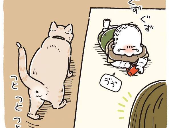 ぐずる赤ちゃんに近付いた猫　その後の行動に「感涙」「尊い、尊いよ…！」