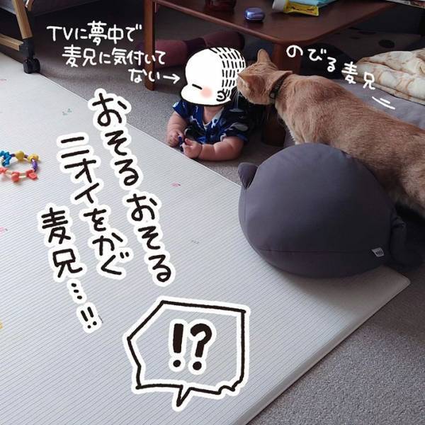 ぐずる赤ちゃんに近付いた猫　その後の行動に「感涙」「尊い、尊いよ…！」