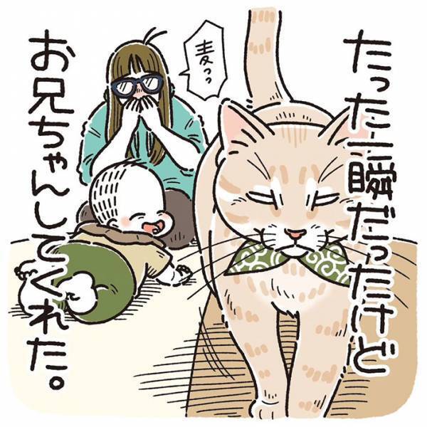 ぐずる赤ちゃんに近付いた猫　その後の行動に「感涙」「尊い、尊いよ…！」