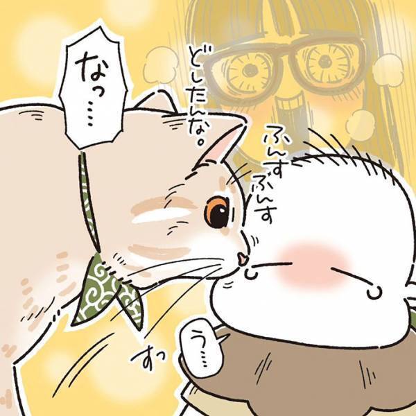 ぐずる赤ちゃんに近付いた猫　その後の行動に「感涙」「尊い、尊いよ…！」