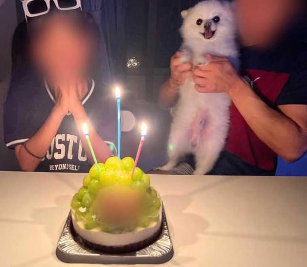 「主役よりも喜んでる」「目がキラキラ」　娘の誕生日で見せた、愛犬の表情がこちら
