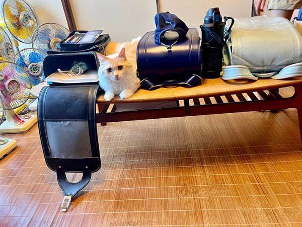 夏休みが終わり、学校が始まった子供たち　荷物に紛れていたのは？　「切ない…！」