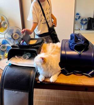 夏休みが終わり、学校が始まった子供たち　荷物に紛れていたのは？　「切ない…！」