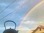 「鉄瓶から注ぎ出る虹を撮れました」　奇跡的な光景に「ご利益がありそう」