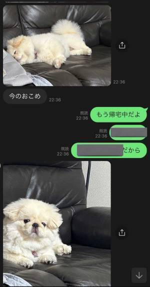 帰り道、父から大量に送られてきたLINE　「かわいいが無限大」