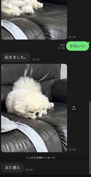 帰り道、父から大量に送られてきたLINE　「かわいいが無限大」
