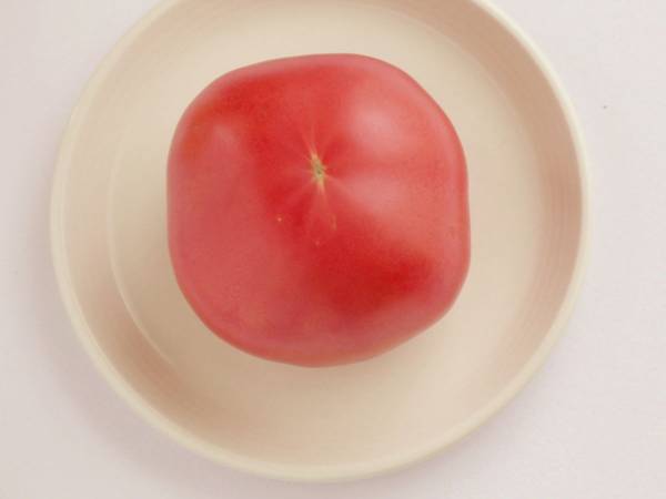 トマトをきれいにカットする方法　底の白い線を避けて切ると…？