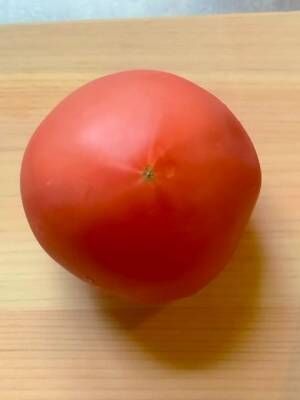 トマトをきれいにカットする方法　底の白い線を避けて切ると…？