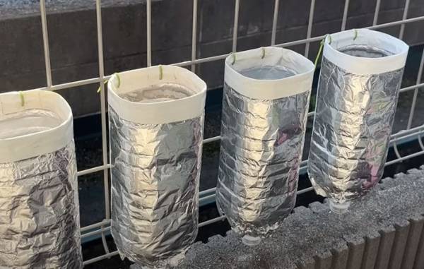 「庭が狭い」「ベランダしかない」　そんな人向けの『ペットボトル栽培方法』が天才の発想