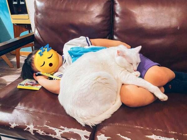 ソファーで寝落ちした男の子　白猫がとった行動に「優しさの塊」「愛が伝わる」