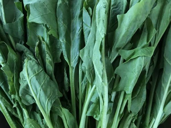 これで鮮度が長持ちする！　野菜の保管方法テクニックとしなびた野菜の活用方法