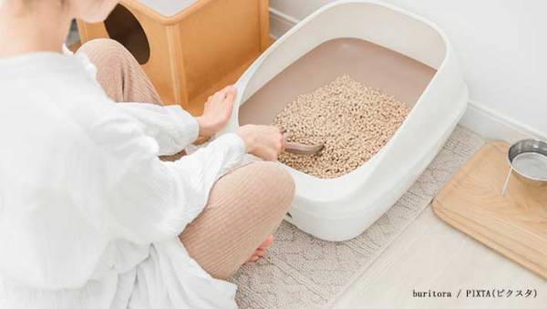 愛猫のトイレ、いつ掃除してる？　猫砂メーカーに聞いた『おすすめの頻度』を守ってあげたい