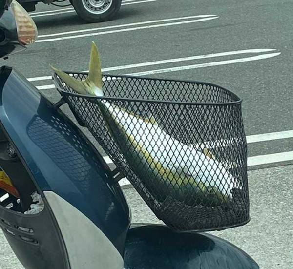 コンビニにとまっていたバイク　カゴの中を見ると「ワイルドすぎる」「二度見するレベル」
