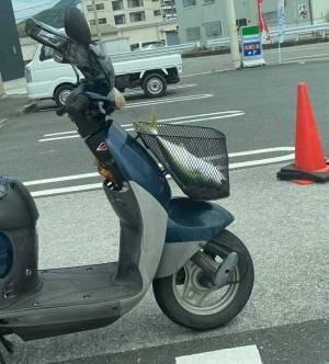 コンビニにとまっていたバイク　カゴの中を見ると「ワイルドすぎる」「二度見するレベル」
