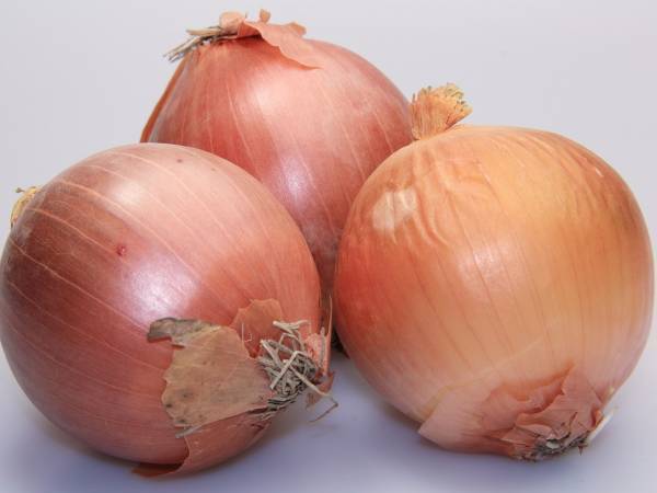 タマネギを切ると出てくる涙　誰でもできる予防策に「なんと」「それするだけ？」