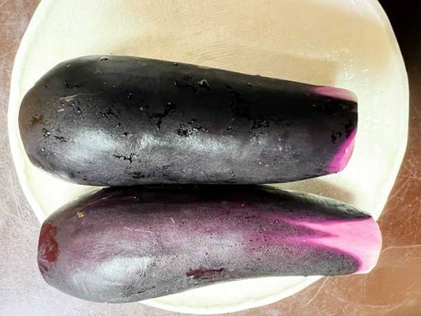 しなしなのナスがピッチピチに…　農家が伝授する復活術を覚えてほしい　「捨てたらもったいない」