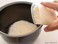 お米をいつもとは違う食感にする裏技　炊く前に『あるもの』を加えると？　「一度試してみたい」