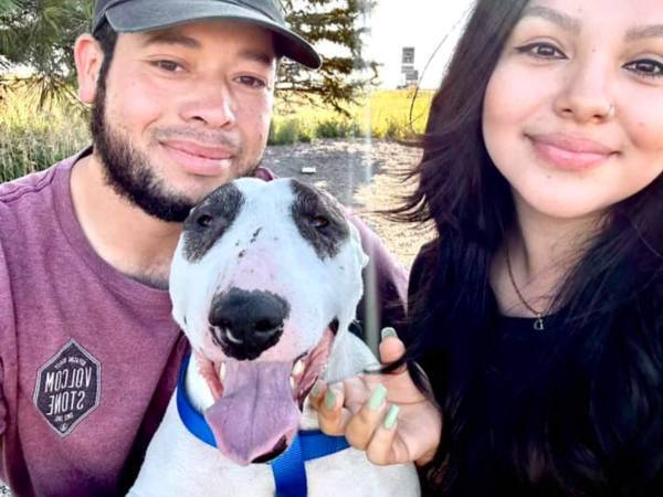 そういう理由だったのか！　『迷い犬』が保護施設の人たちに全く懐かなかったワケは？