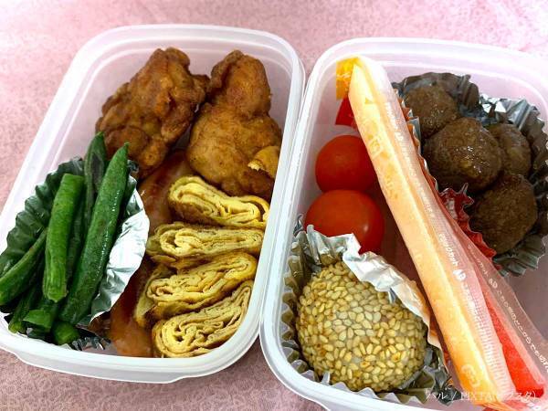 「捨てがちなアレも使える」　弁当の保冷に役立つ『意外な工夫』とは